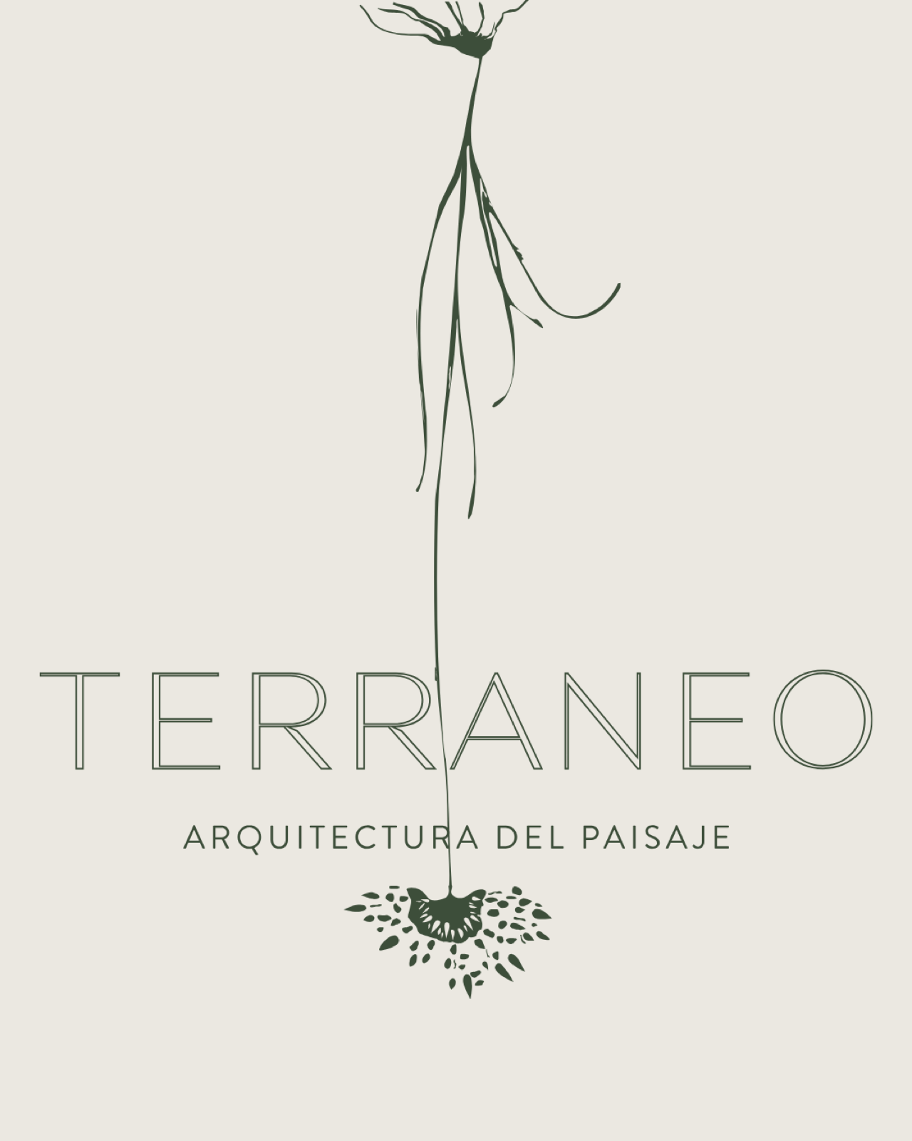 Terraneo